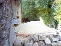 20111029 BREAD OVEN DOME SAND-CLAY 06