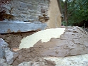 20111029 BREAD OVEN DOME SAND-CLAY 11