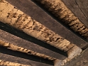 20180329 LE BOQUET Hall Ceiling 17