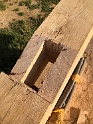20180901 Cutting Section 4 Timbers with Tanguy Matthieu 04