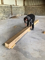 20190330 Preconstructing Roof Frames 11