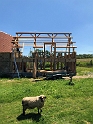 20190601 Raising First of Four Windows 01