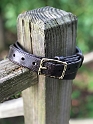 20171031 First Leather Belt Brown 05