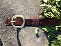 20181120 Belt with harness buckle for Blanche Robiaille 03