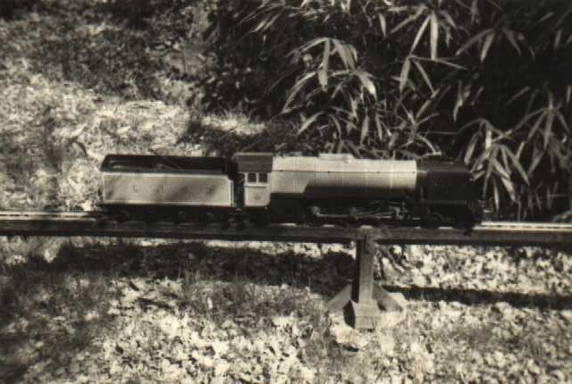 19500000s LONG GUY S. +Loco 1