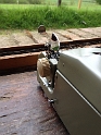 20150430 IMPERIAL GOOD COMPANION 6 1961 No.6P087 Typewriter 07