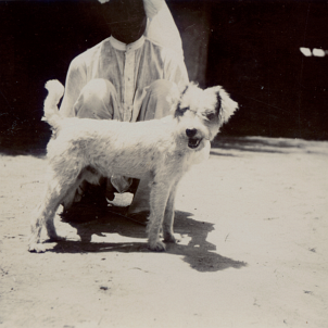 19300000s India 'Nipper'-Edit