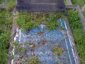 FrangopoulosMariaDTomb1