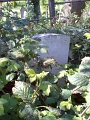 WestNorwoodWarGrave2