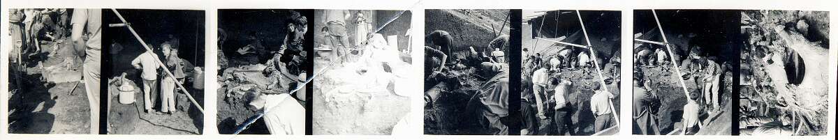 Aveley Dig-Edit
