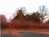 StMichaelsScoRustonNorfolk.jpg