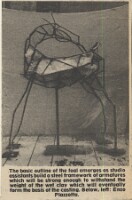 19800606 ENZO PLAZZOTTA'S FOAL OUTLINE CN