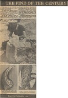 19830727 NEW SURREY DINOSAUR AT NATURAL HISTORY MUSEUM b CN