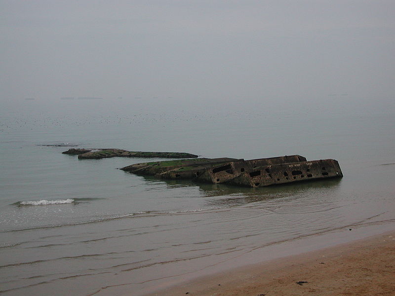 whalebeetlesrromanches.jpg